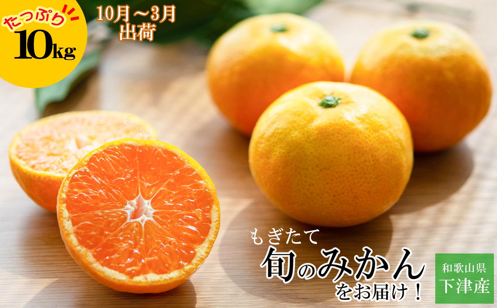 みかん 約10kg 大小混合サイズ 《ご家庭用》 和歌山県産 農園直送 まごころ産直みかん 【10月中旬から3月上旬頃まで順次発送】【北海道・沖縄県・一部離島 配送不可】訳あり 和歌山のみかん