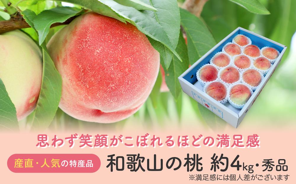 【産直・人気の特産品】和歌山の桃　約4kg・秀選品★2026年6月下旬～8月中旬頃順次発送★【TM168】