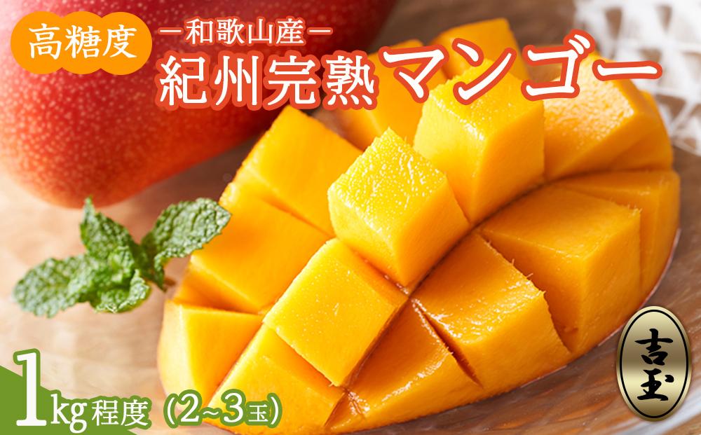 ◆先行予約◆和歌山県産　紀州完熟マンゴー『吉玉』約1kg程度／2～3玉入り［2026年7月下旬から8月下旬頃順次発送予定］［MG20］