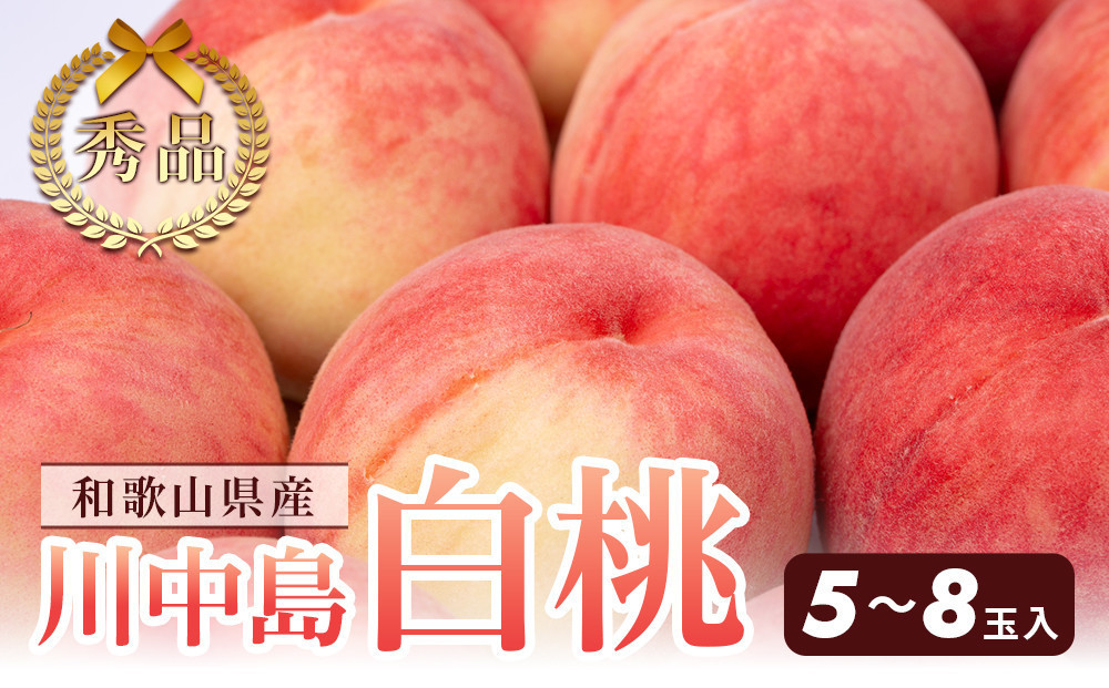 和歌山県産 川中島白桃 5～8玉入り 秀品 先行予約［2026年7月下旬以降発送］［MG7］