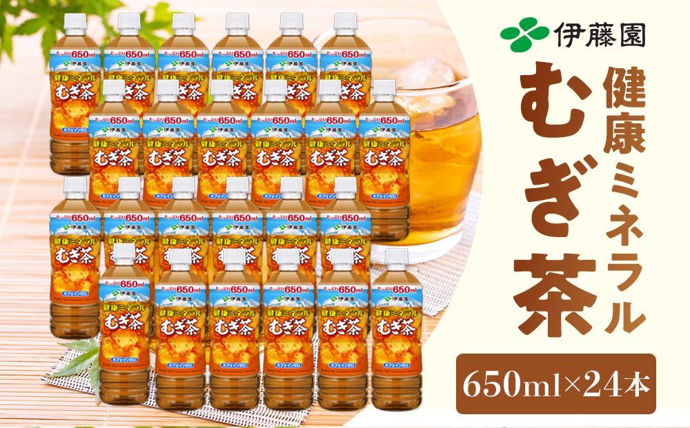 定期便 毎月 全6回 健康ミネラル麦茶 650ml×24本 １ケース 6ヶ月定期便