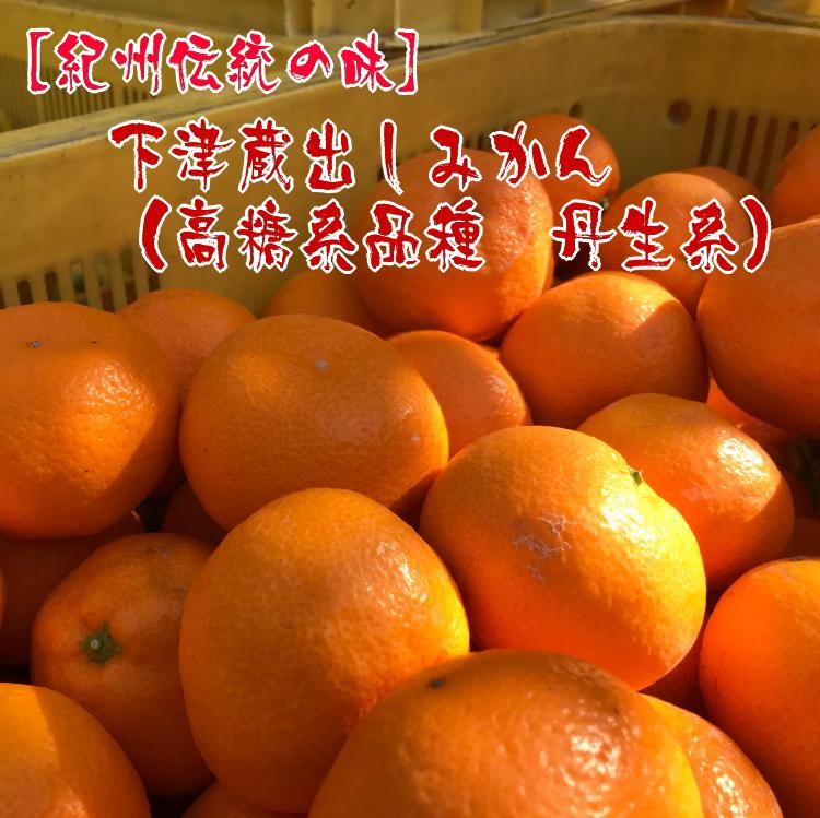 【 紀州 伝統 の 味 】 下津 蔵出し みかん （ 高糖系 品種 丹生系 ） 5kg  【Ｓ～Ｌ混合サイズ】【先行予約】