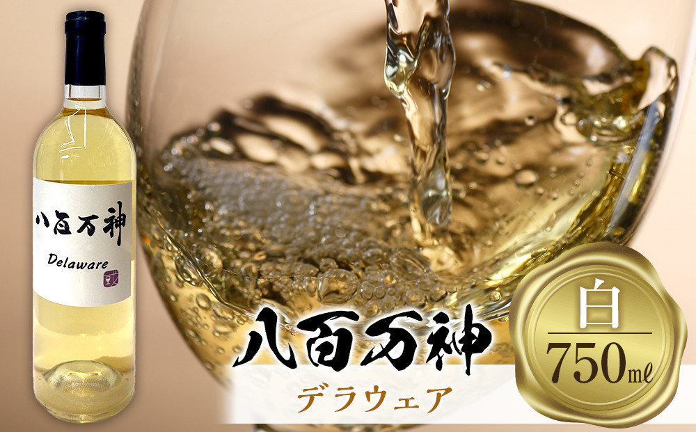 白ワイン 八百万神  デラウェア 2024 八百万神（Yaoyorozu）