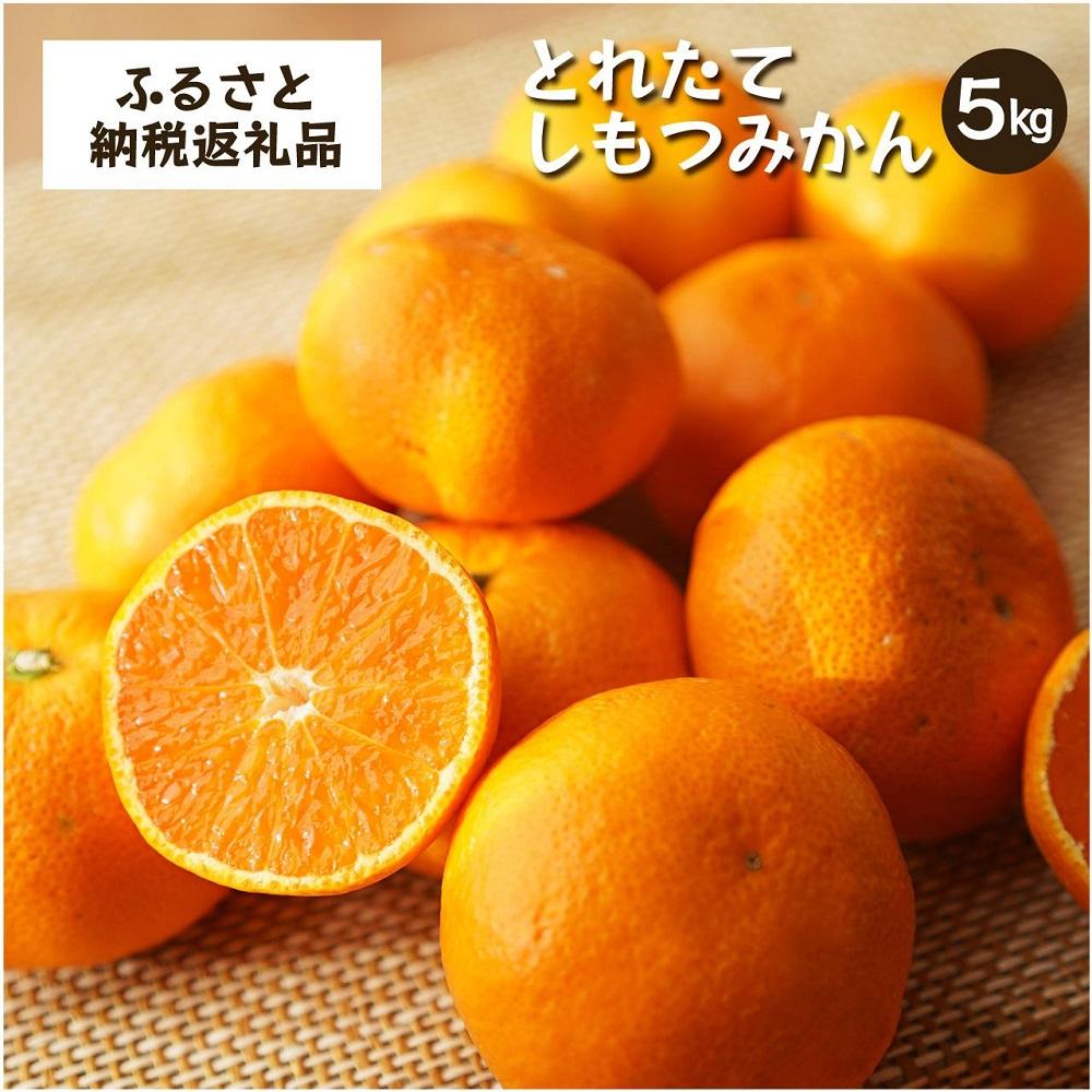 とれたてしもつみかん　5kg家庭用｜和歌山県海南市の下津みかんを産地直送でお届け【2025年11月発送開始】