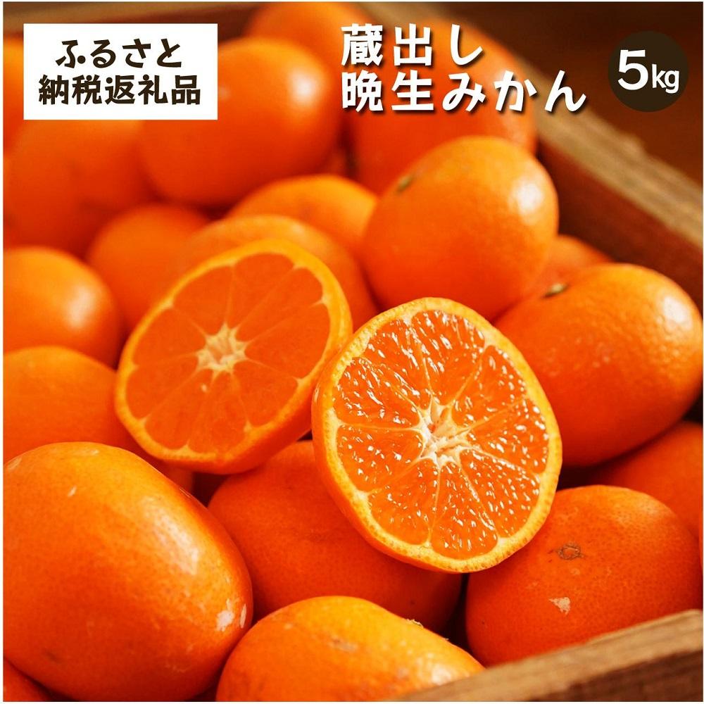 蔵出しみかん晩生　5kg家庭用｜和歌山県海南市下津町の特産品蔵出しみかんの晩生品種【2026年1月発送開始】