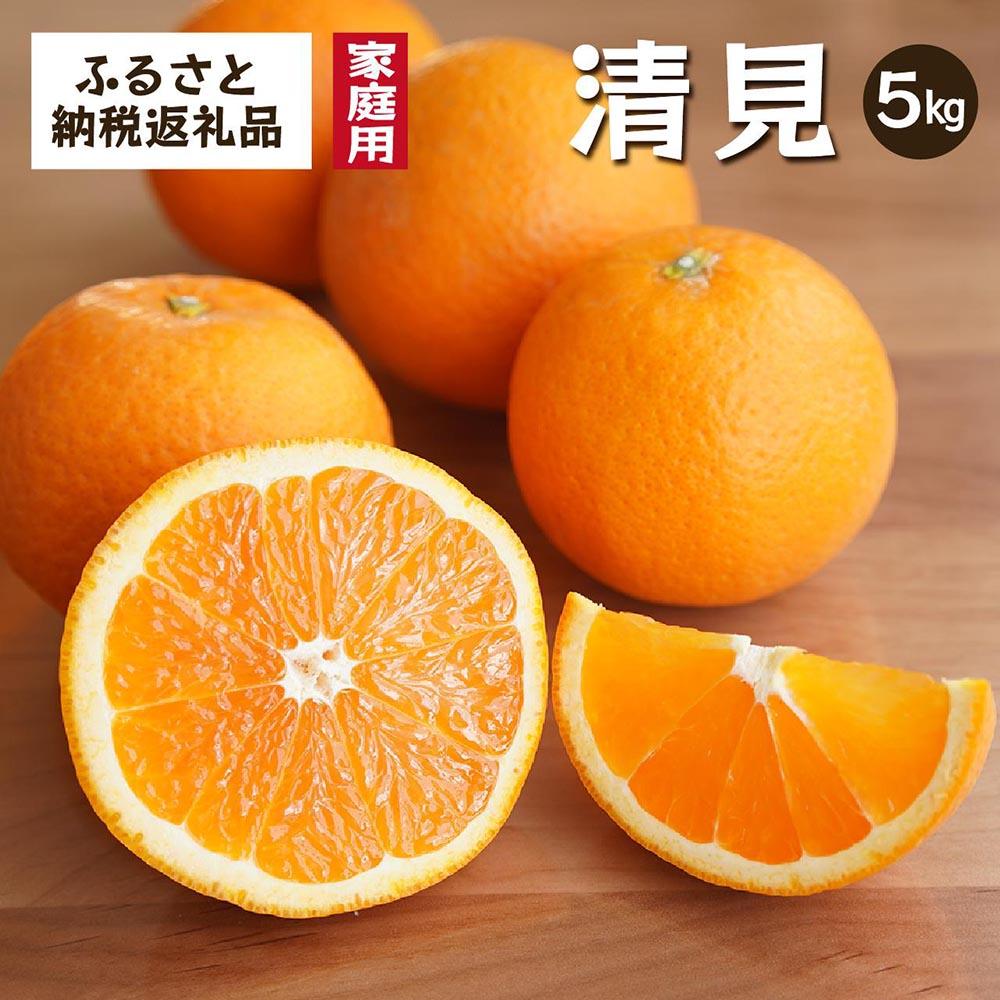 清見オレンジ（みかん）4kg家庭用｜和歌山県海南市下津町で育てた和製オレンジを産地直送でお届け【2026年3月～発送予定】