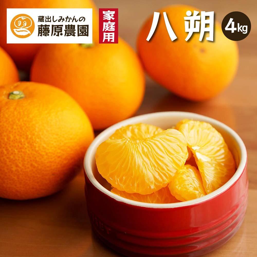 八朔｜和歌山県海南市から産地直送でお届け｜4kg｜ご家庭用【2026年4月