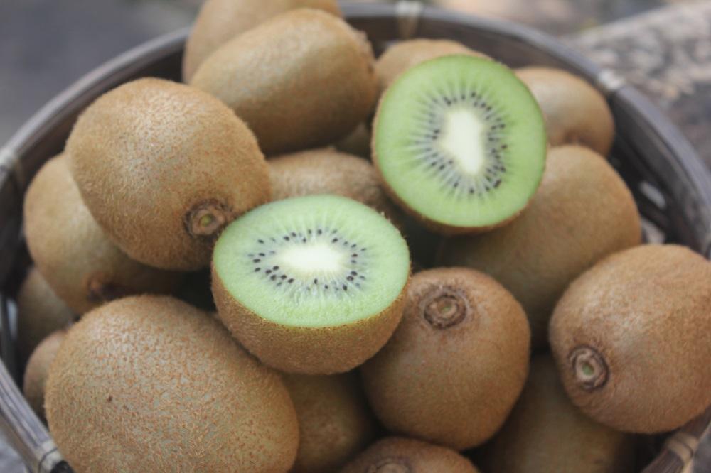 青木ファーム＆デリ　キウイフルーツ特秀（２Lサイズ９個入り）