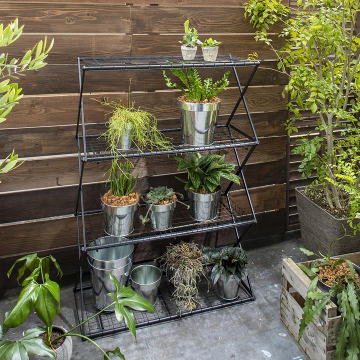 54104100 パンタグラック L