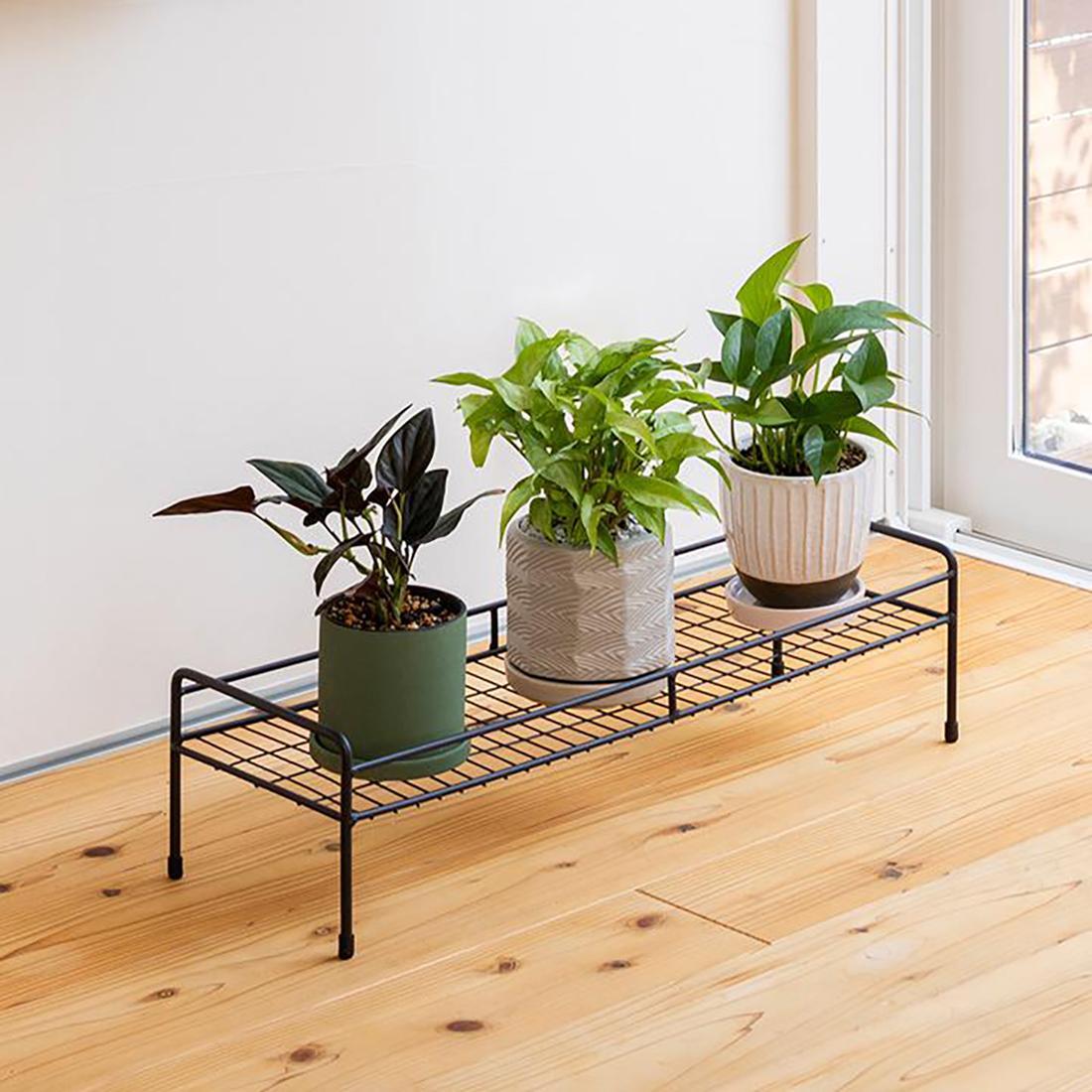 98915700 シンプルプラントスタンド スクエア S 約幅60.5cm×奥行20.5cm×高さ15cm