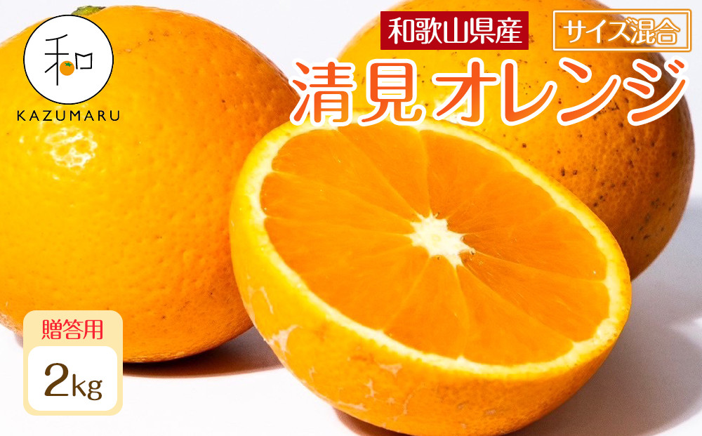 贈答用 森本農園の手選別 厳選清見オレンジ 約2kg 和歌山県産 サイズ混合 ［北海道・沖縄・離島配送不可］［2026年2月上旬から5月中旬頃順次発送予定］［RN88］