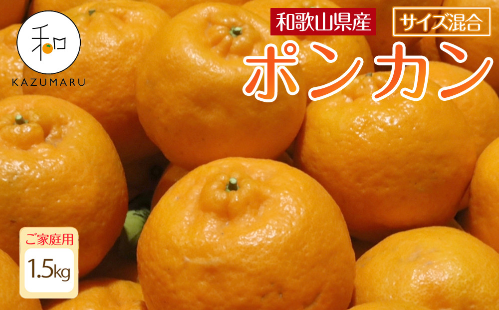 家庭用 森本農園の手選別 ポンカン 1.5kg 和歌山県産 サイズ混合 ［北海道・沖縄・離島配送不可］［RN11］［2026年1月上旬から順次発送］