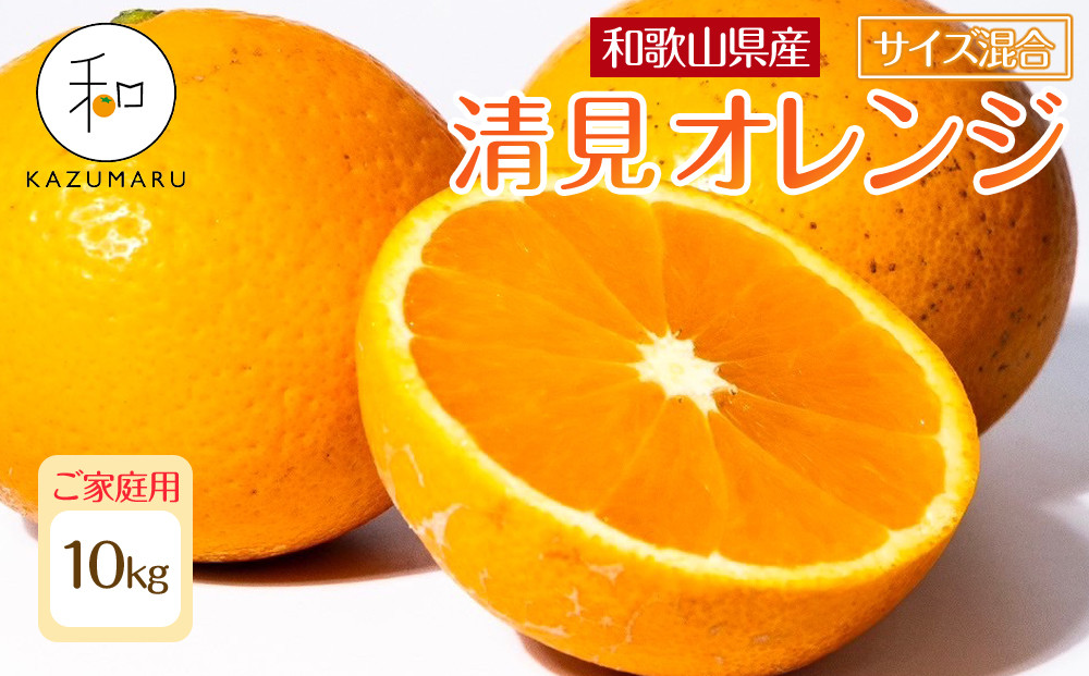 家庭用 森本農園の手選別 清見オレンジ 10kg 和歌山県産 サイズ混合 ［北海道・沖縄・離島配送不可］［RN39］［2026年2月上旬から5月中旬頃順次発送予定］