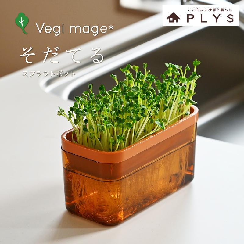 【ブラウン】ベジマジそだてる スプラウト栽培容器 種付き 水耕栽培 おしゃれ 家庭菜園