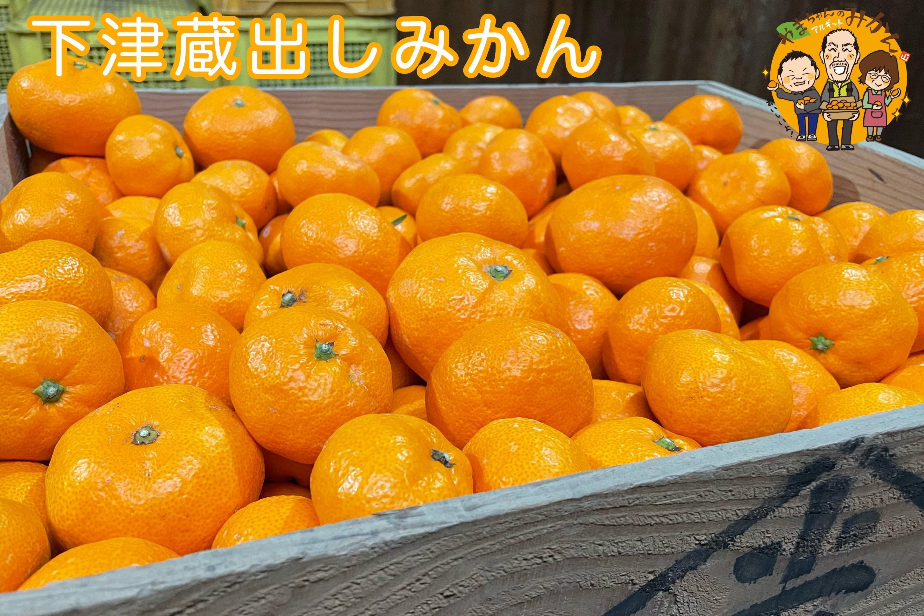 下津蔵出しみかん 約3kg S～Lサイズいずれか 山下農園