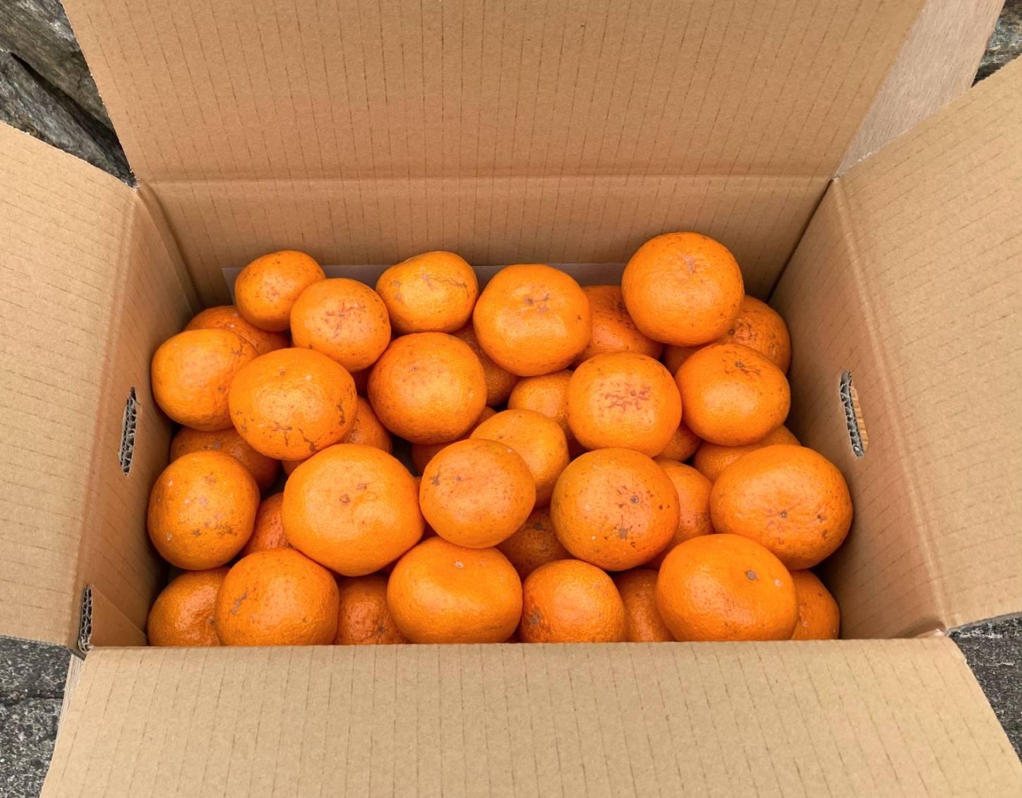 【訳あり】樹上完熟早生みかん 2S～2Lサイズ混合 約5kg箱込み (約4.5kg入)