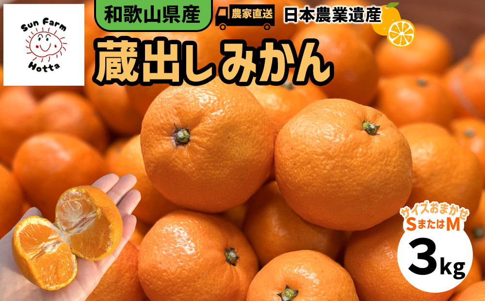 和歌山県産 下津蔵出しみかん 家庭用 3kg (サイズおまかせSまたはMのいずれか) 農家直送 手選別