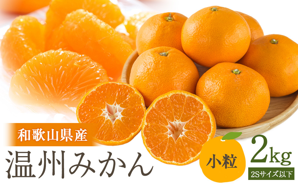 ［先行予約］訳あり 温州みかん 約2kg 小粒［2025年11月上旬頃から順次発送予定］