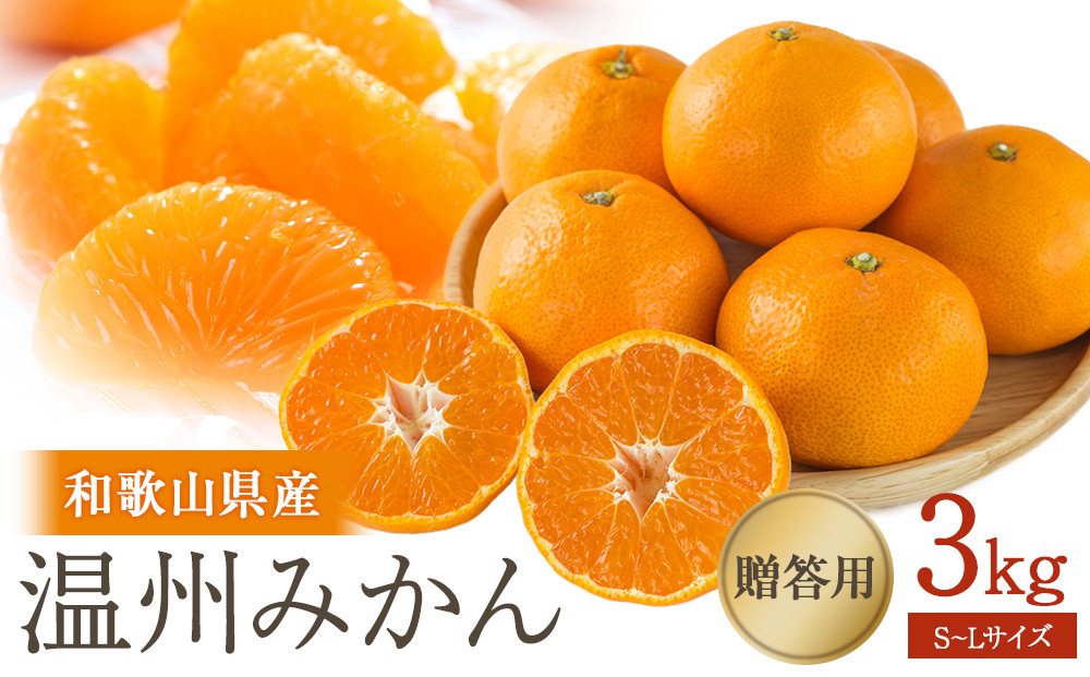 ［先行予約］贈答向け 温州みかん 約3kg S~Lサイズ混合 ［2025年11月下旬頃から順次発送予定］