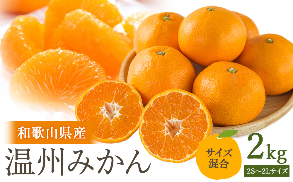 ［先行予約］訳あり 温州みかん 約2kg 2S～2Lサイズ混合［2025年11月上旬頃から順次発送予定］