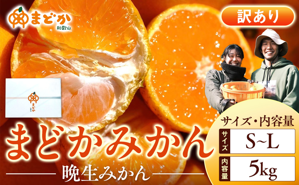 ［先行予約］［訳あり］蔵出しみかん（晩生みかん）S〜Lサイズ混合 5kg＋300g（傷み補償分）［2026年1月上旬より発送］