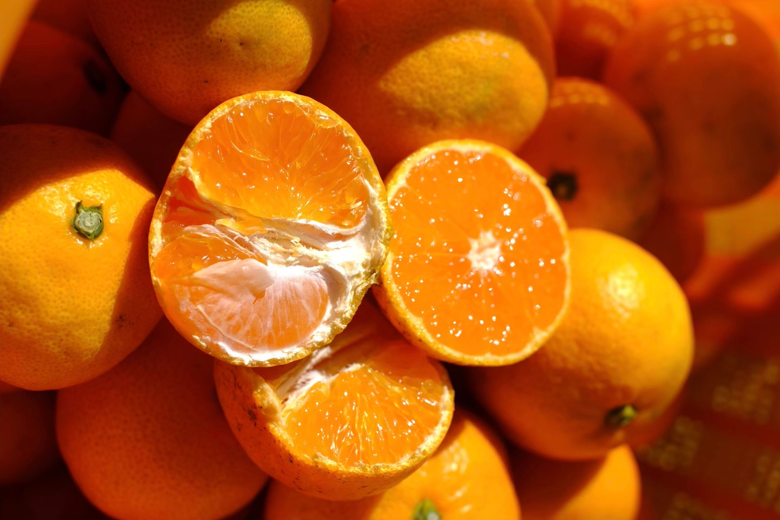 ［先行予約］［訳あり］蔵出しみかん（晩生みかん）2L〜3Lサイズ混合 2kg＋200g（傷み補償分）［2026年1月上旬より発送］