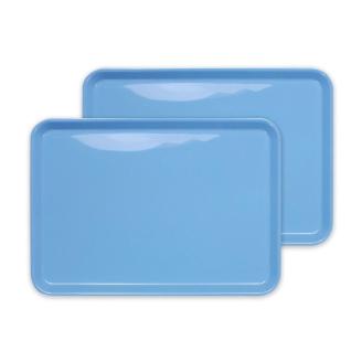 タツクラフト カラフルピノトレー M 33cm ブルー 2枚組