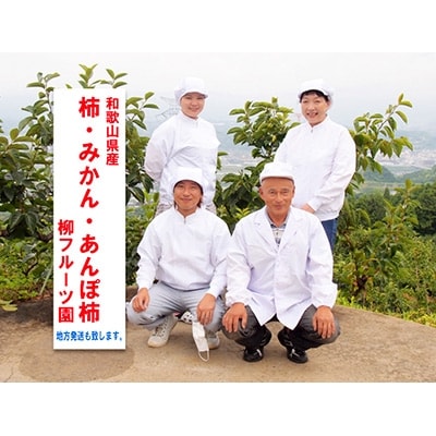 【先行受付】柳フルーツ園の富有柿【配送不可地域：離島】