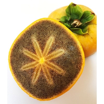 【2026年10月以降発送】あさみ農園の紀の川柿　11～15個