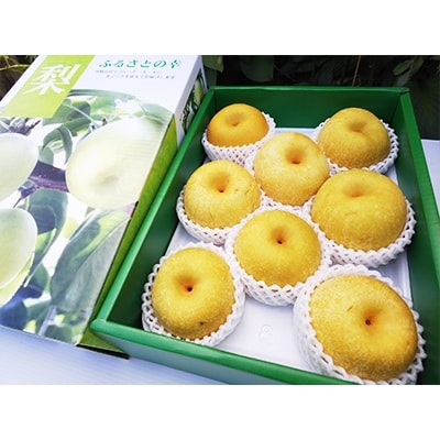 国城観光農園の梨(幸水)8個入り【配送不可地域：離島】