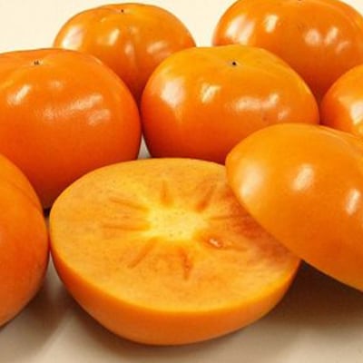 【先行受付】柳フルーツ園の訳あり富有柿　5kg