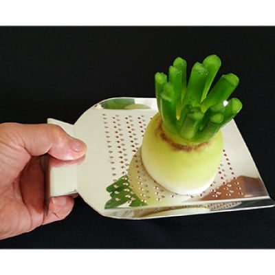 【紀州新家】極上手打ちのおろし金(1枚)