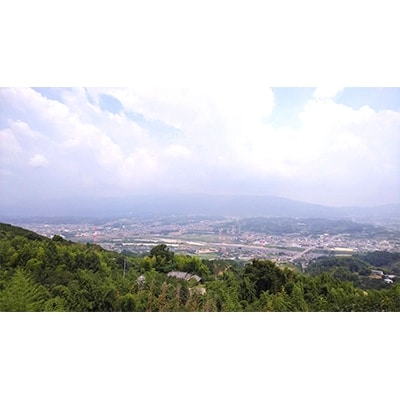 【2026年度発送分】国城観光農園のたねなし柿12個入り(2Lサイズ)【配送不可地域：北海道・沖縄県】