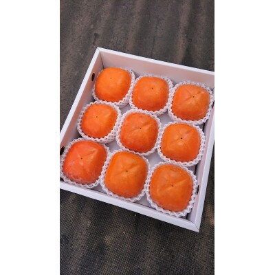 国城観光農園の紀の川柿9個入り(2L～3Lサイズ)【配送不可地域：北海道・沖縄県】