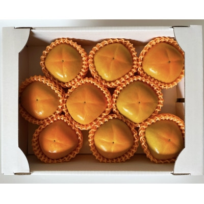 【先行受付】キタヤマ果樹園のたねなし柿　9～12個(2L～3L)オリジナル化粧箱入り(オレンジ箱)