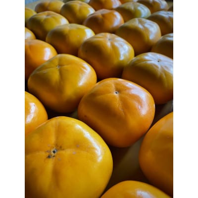 【先行受付】キタヤマ果樹園のたねなし柿　ファミリーパック(家庭用)15～20個入り(L～3L)