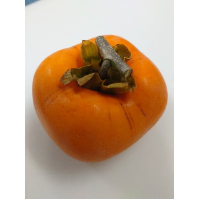 吊るし柿用生渋柿(ひらたねなし柿)　12個入り