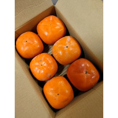 紀の川柿(訳あり品)12～15個入り