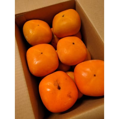 たねなし柿(訳あり品)12～15個入り