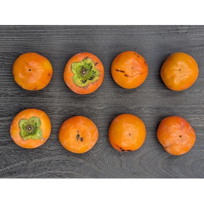 【先行予約】匠果樹園 富有柿【訳あり】約1.5kg 6～4玉【令和7年11月より順次発送】