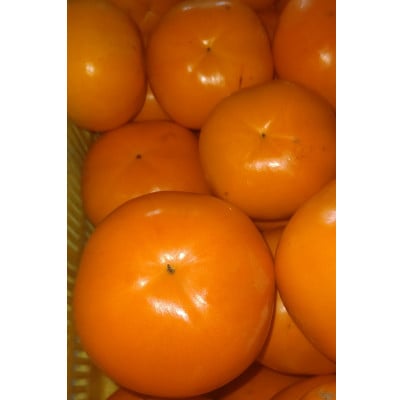 【2026年配送分】紀州てまり　9個～12個入　約3kg