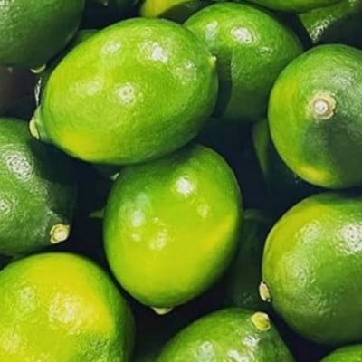 アトランティスファームの国産レモン 約1kg+100g(11月より順次発送予定)