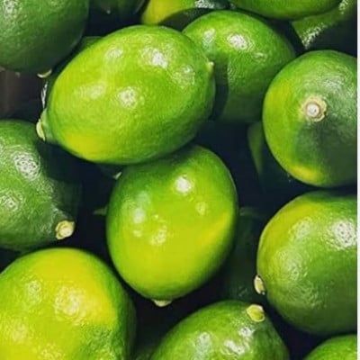 【訳あり】アトランティスファームの国産レモン 約2kg+200g (11月より順次発送予定)