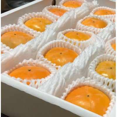 【先行受付】贈答用　たねなし柿　3kg