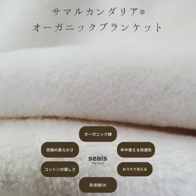 サマルカンダリア　オーガニック綿毛布　ハーフケット　ナチュラル・ブルー 140cm×100cm