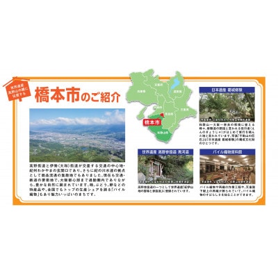 【返礼品なし】和歌山県橋本市への応援寄附金(100,000円分)