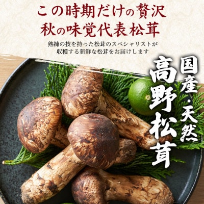 国産　天然高野松茸　約200g  2026年出荷【配送不可地域：離島・北海道・沖縄県】