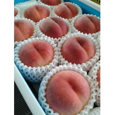 和歌山の桃「さくひめ」計4kg 11個～13個【配送不可地域：離島】