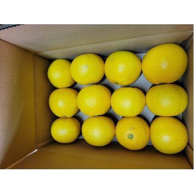 【特別栽培】和歌山県産　八朔(5kg)