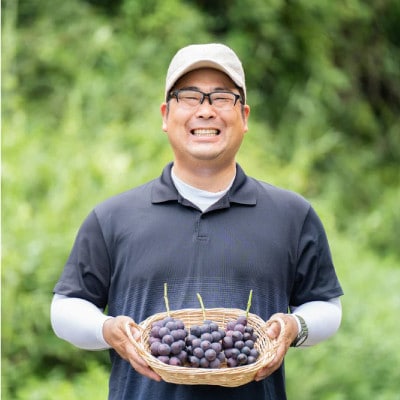 【2026年夏発送】お試しサイズ約1kg　梅田農園の種無し巨峰　来季分先行受付【配送不可地域：離島】